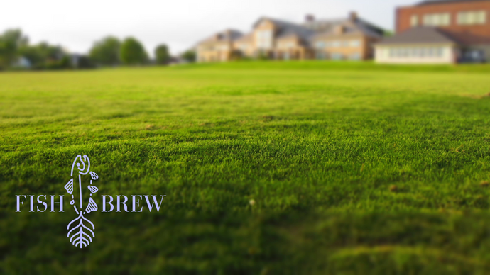 Green Lawns, Clean Water: Staying Compliant with Fertilizer Bans with Fish Brew