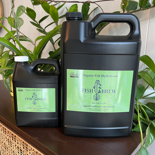 Fish Brew OMRI Listed Organic Fish Hydrolysate Fertilizer NPK 2-3-0.24 in 1 gallon and 32 oz gallon jugs on table with plants