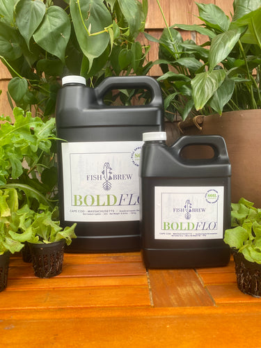 Gallon and Quart sized bottles of Fish Brew Bold FLO Soil Conditioner/Living Soil Microbes/Plant Probiotics, Derived from Fish Manure