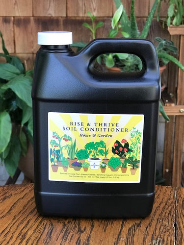 Quart bottle of FishBrew Rise and Thrive soil conditioner. Beneficial plant probiotic microbes for improving home and garden soils.
